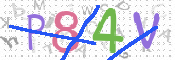 CAPTCHA (Şahıs Denetim Kodu) Resmi