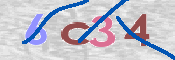 CAPTCHA (Şahıs Denetim Kodu) Resmi