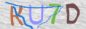 CAPTCHA (Şahıs Denetim Kodu) Resmi