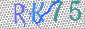 CAPTCHA (Şahıs Denetim Kodu) Resmi