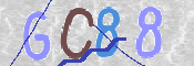 CAPTCHA (Şahıs Denetim Kodu) Resmi