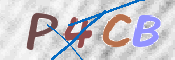 CAPTCHA (Şahıs Denetim Kodu) Resmi