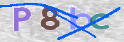 CAPTCHA (Şahıs Denetim Kodu) Resmi