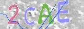 CAPTCHA (Şahıs Denetim Kodu) Resmi
