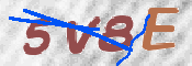 CAPTCHA (Şahıs Denetim Kodu) Resmi