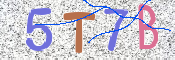 CAPTCHA (Şahıs Denetim Kodu) Resmi