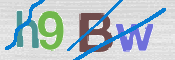 CAPTCHA (Şahıs Denetim Kodu) Resmi