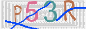 CAPTCHA (Şahıs Denetim Kodu) Resmi