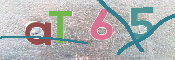CAPTCHA (Şahıs Denetim Kodu) Resmi