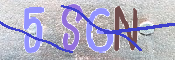 CAPTCHA (Şahıs Denetim Kodu) Resmi