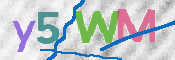 CAPTCHA (Şahıs Denetim Kodu) Resmi