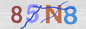 CAPTCHA (Şahıs Denetim Kodu) Resmi