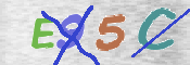 CAPTCHA (Şahıs Denetim Kodu) Resmi
