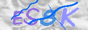 CAPTCHA (Şahıs Denetim Kodu) Resmi