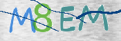 CAPTCHA (Şahıs Denetim Kodu) Resmi