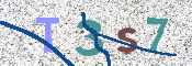 CAPTCHA (Şahıs Denetim Kodu) Resmi