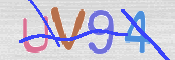 CAPTCHA (Şahıs Denetim Kodu) Resmi