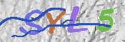 CAPTCHA (Şahıs Denetim Kodu) Resmi