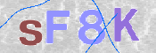 CAPTCHA (Şahıs Denetim Kodu) Resmi