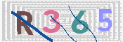 CAPTCHA (Şahıs Denetim Kodu) Resmi