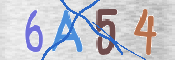 CAPTCHA (Şahıs Denetim Kodu) Resmi