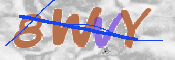 CAPTCHA (Şahıs Denetim Kodu) Resmi