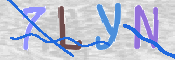 CAPTCHA (Şahıs Denetim Kodu) Resmi