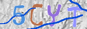 CAPTCHA (Şahıs Denetim Kodu) Resmi