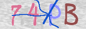 CAPTCHA (Şahıs Denetim Kodu) Resmi