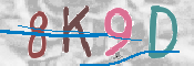 CAPTCHA (Şahıs Denetim Kodu) Resmi