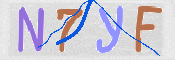 CAPTCHA (Şahıs Denetim Kodu) Resmi