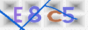 CAPTCHA (Şahıs Denetim Kodu) Resmi