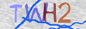 CAPTCHA (Şahıs Denetim Kodu) Resmi