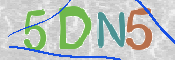 CAPTCHA (Şahıs Denetim Kodu) Resmi
