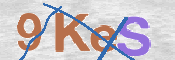 CAPTCHA (Şahıs Denetim Kodu) Resmi