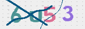 CAPTCHA (Şahıs Denetim Kodu) Resmi