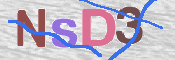 CAPTCHA (Şahıs Denetim Kodu) Resmi