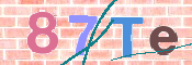 CAPTCHA (Şahıs Denetim Kodu) Resmi