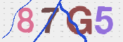 CAPTCHA (Şahıs Denetim Kodu) Resmi