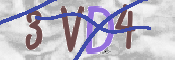 CAPTCHA (Şahıs Denetim Kodu) Resmi