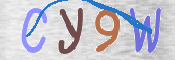 CAPTCHA (Şahıs Denetim Kodu) Resmi