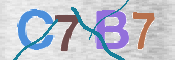 CAPTCHA (Şahıs Denetim Kodu) Resmi