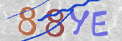 CAPTCHA (Şahıs Denetim Kodu) Resmi