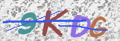 CAPTCHA (Şahıs Denetim Kodu) Resmi