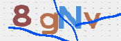 CAPTCHA (Şahıs Denetim Kodu) Resmi