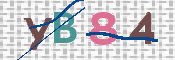 CAPTCHA (Şahıs Denetim Kodu) Resmi