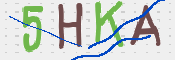 CAPTCHA (Şahıs Denetim Kodu) Resmi