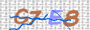 CAPTCHA (Şahıs Denetim Kodu) Resmi