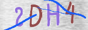 CAPTCHA (Şahıs Denetim Kodu) Resmi