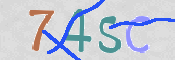 CAPTCHA (Şahıs Denetim Kodu) Resmi